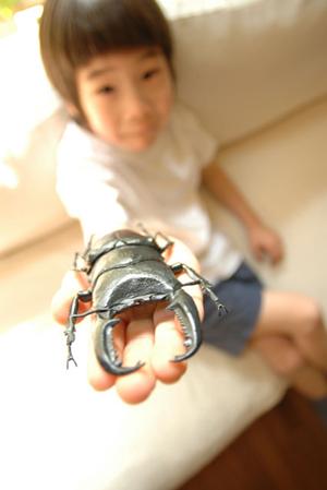 静岡の学習塾【文理学院 月見校】：小中高生対象の効果的な学習支援と進学実績の向上